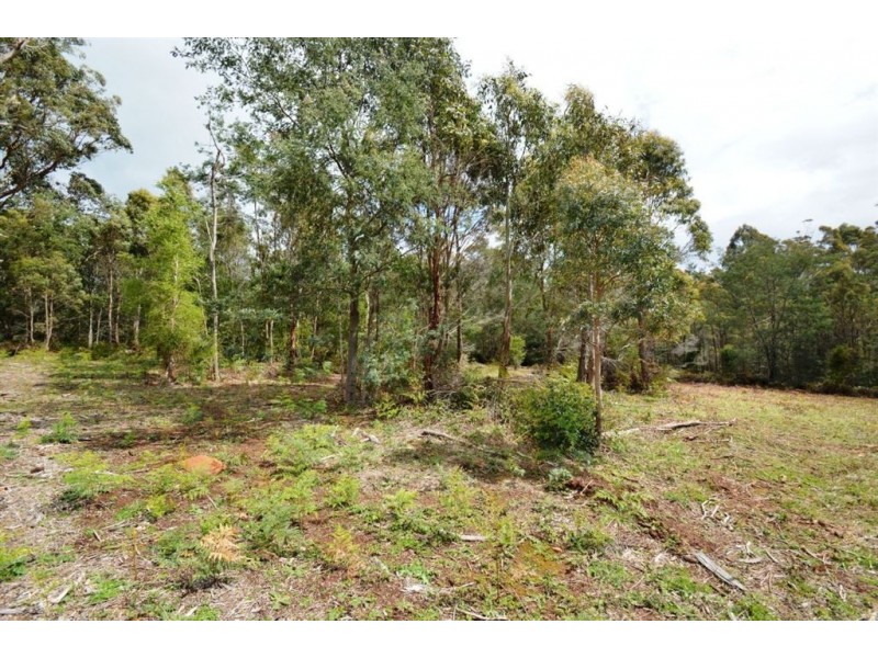Lot 3 Hill Street, Elizabeth Town TAS 7304