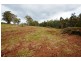 Lot 3 Hill Street, Elizabeth Town TAS 7304
