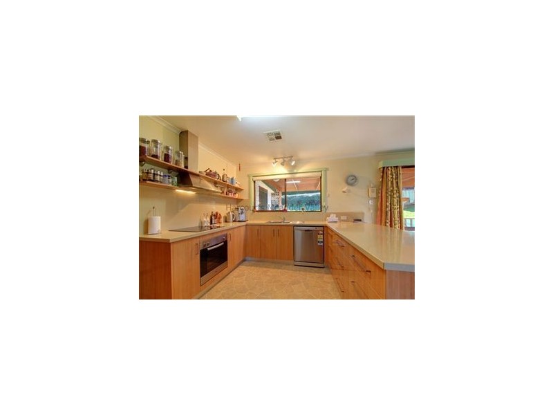 41 West Parade, Deloraine TAS 7304