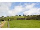 570 Mersey Hill Road, Mole Creek TAS 7304
