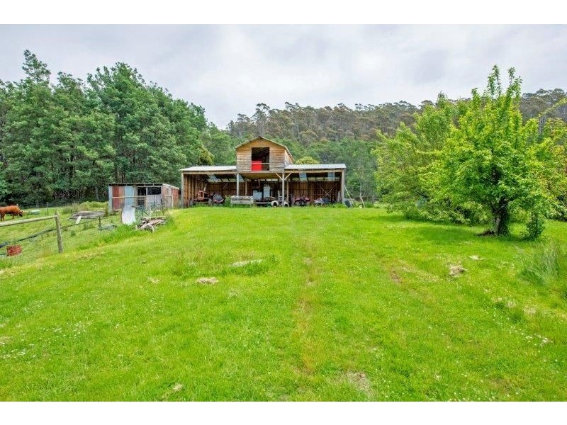 102 Delantys Road, Birralee TAS 7303