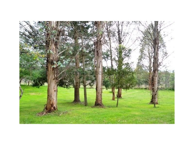 685 Cheshunt Road, Western Creek TAS 7304