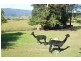 58 Caveside Road, Mole Creek TAS 7304