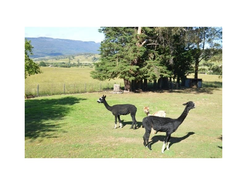 58 Caveside Road, Mole Creek TAS 7304