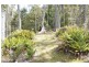 12469 Highland Lakes Road, Golden Valley TAS 7304