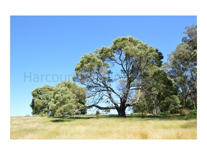 73 Grundys Road, Weegena TAS 7304