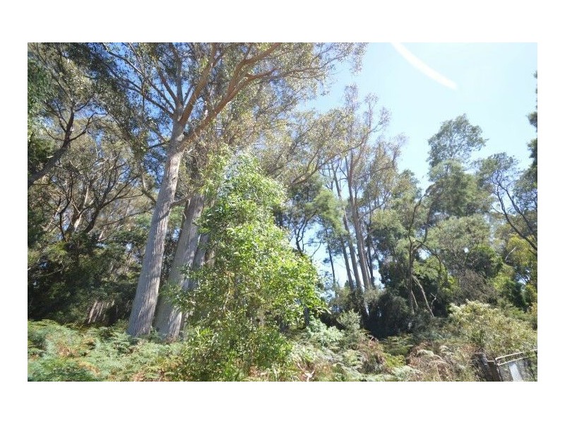 73 Grundys Road, Weegena TAS 7304