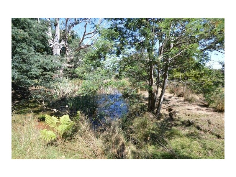 73 Grundys Road, Weegena TAS 7304