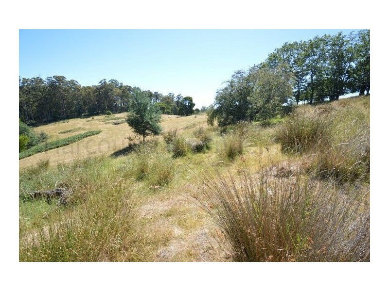 73 Grundys Road, Weegena TAS 7304