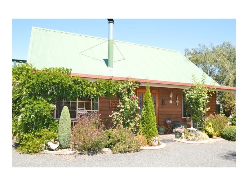 45 Grigg St, Deloraine TAS 7304