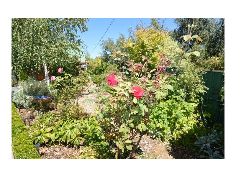 45 Grigg St, Deloraine TAS 7304