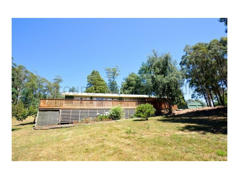 81 Pumicestone Road, Deloraine TAS 7304