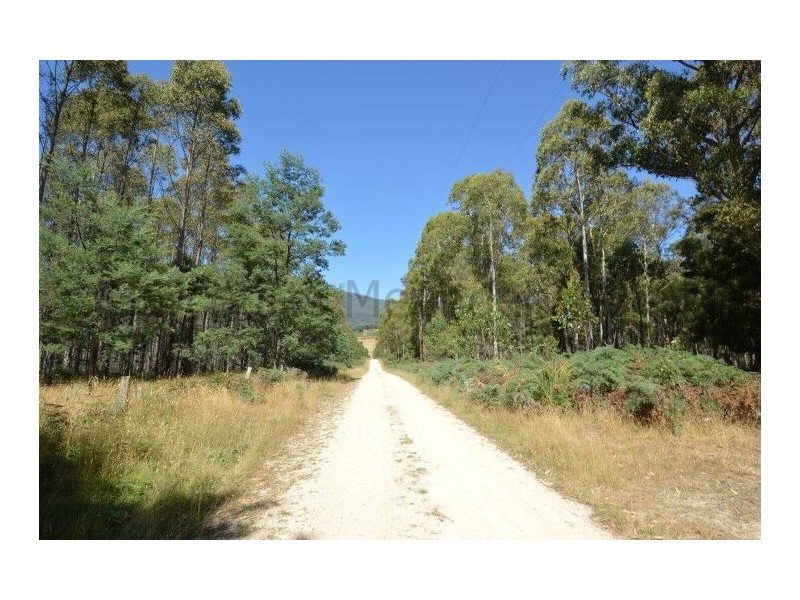 0 Crowdens Road, Western Creek TAS 7304