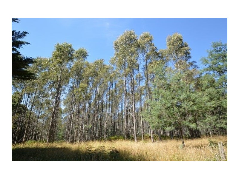 0 Crowdens Road, Western Creek TAS 7304