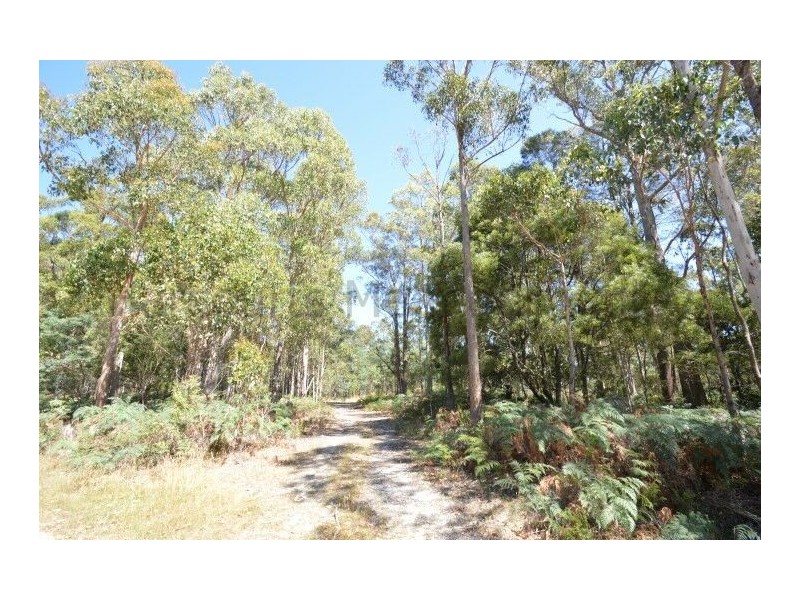 0 Crowdens Road, Western Creek TAS 7304
