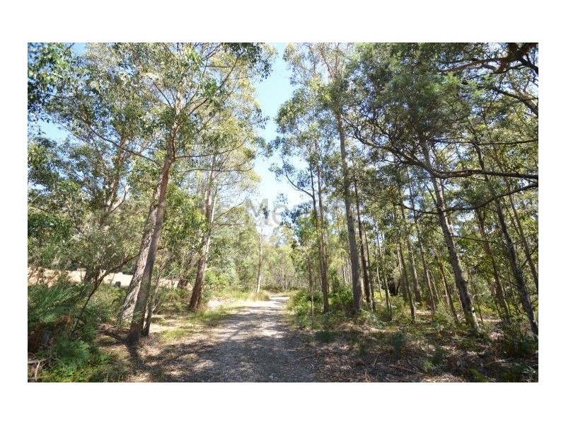 0 Crowdens Road, Western Creek TAS 7304