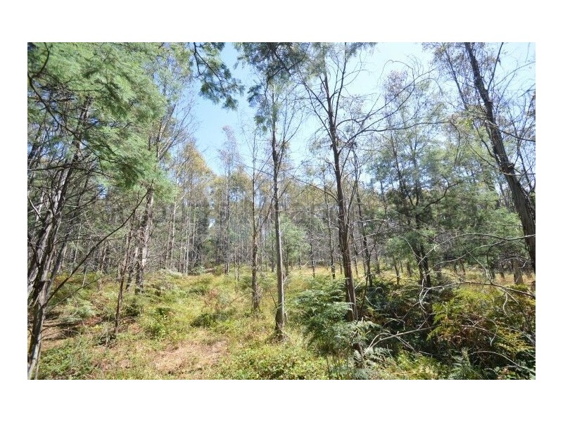 0 Crowdens Road, Western Creek TAS 7304