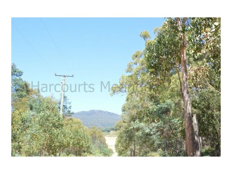 0 Crowdens Road, Western Creek TAS 7304