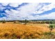 1666 Bridgenorth Road, Rosevale TAS 7292