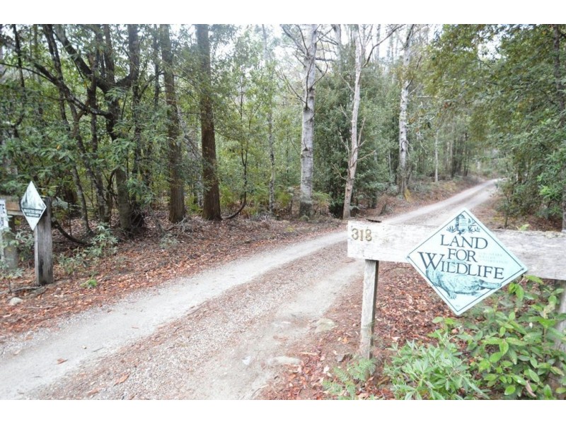 Lot 7 Witeena, Jackeys Marsh TAS 7304
