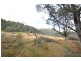 Lot 7 Witeena, Jackeys Marsh TAS 7304
