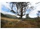 Lot 7 Witeena, Jackeys Marsh TAS 7304