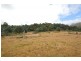 Lot 7 Witeena, Jackeys Marsh TAS 7304