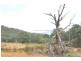 Lot 7 Witeena, Jackeys Marsh TAS 7304