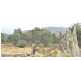 Lot 7 Witeena, Jackeys Marsh TAS 7304