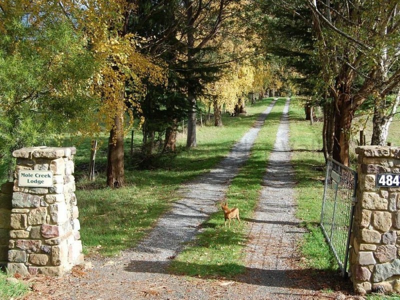 484 Caveside Road, Mole Creek TAS 7304