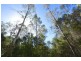 1 North Street, Elizabeth Town TAS 7304