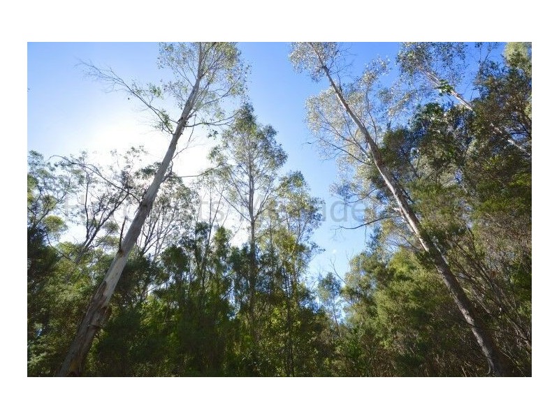 1 North Street, Elizabeth Town TAS 7304