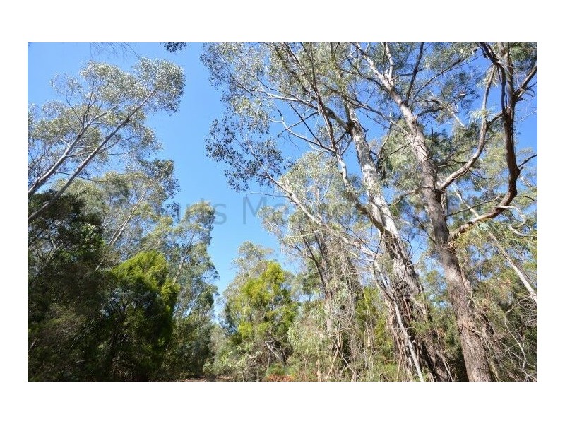1 North Street, Elizabeth Town TAS 7304