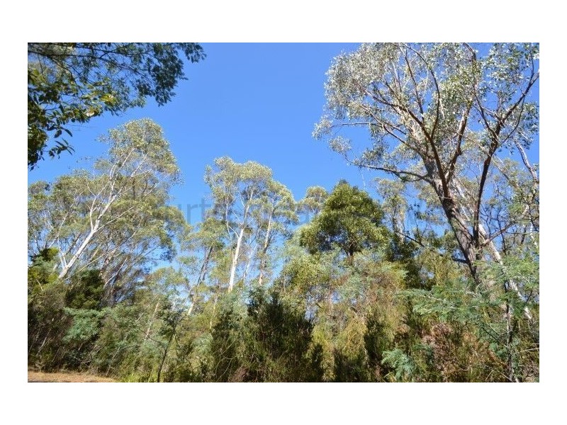 1 North Street, Elizabeth Town TAS 7304