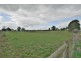 49 Veterans Row, Westbury TAS 7303