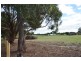 49 Veterans Row, Westbury TAS 7303