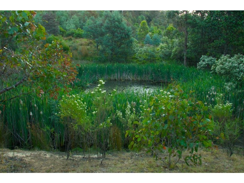 47 Wattle Lea Road, Golden Valley TAS 7304