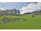 4 Pioneer Drive, Mole Creek TAS 7304