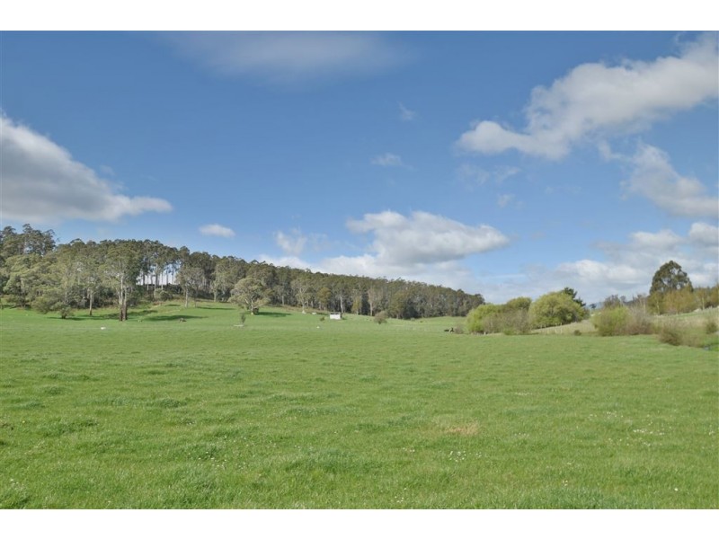 4 Pioneer Drive, Mole Creek TAS 7304