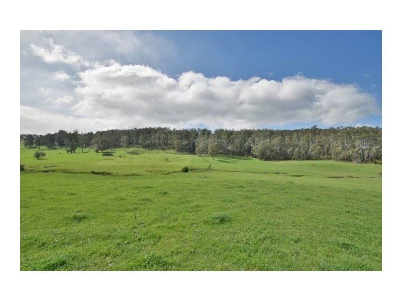 4 Pioneer Drive, Mole Creek TAS 7304