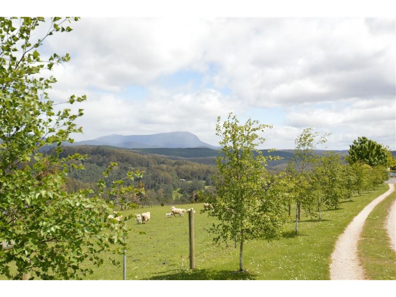 29 Dynans Bridge Road, Weegena TAS 7304