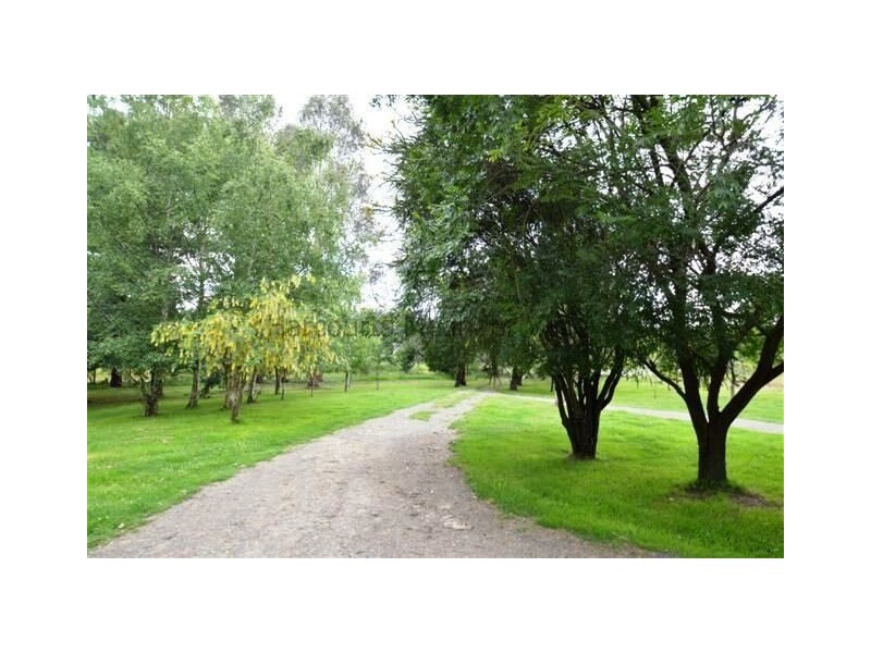 685 Cheshunt Road, Western Creek TAS 7304