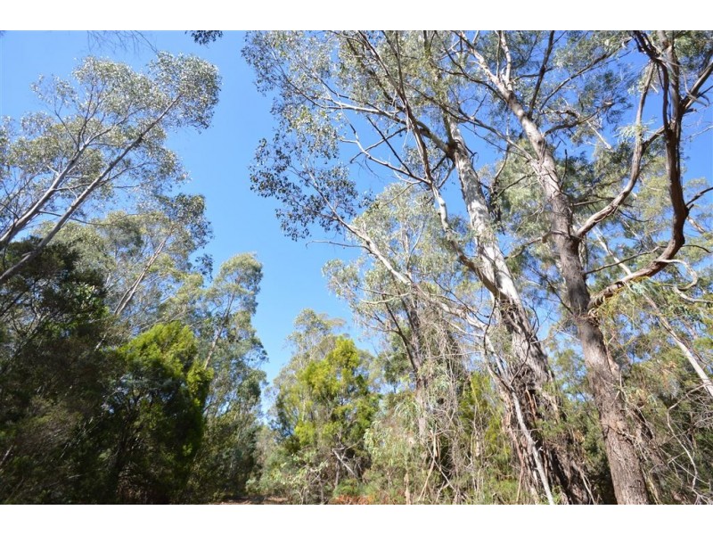 lot 1 North Street, Elizabeth Town TAS 7304