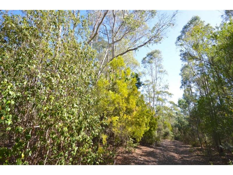 lot 1 North Street, Elizabeth Town TAS 7304