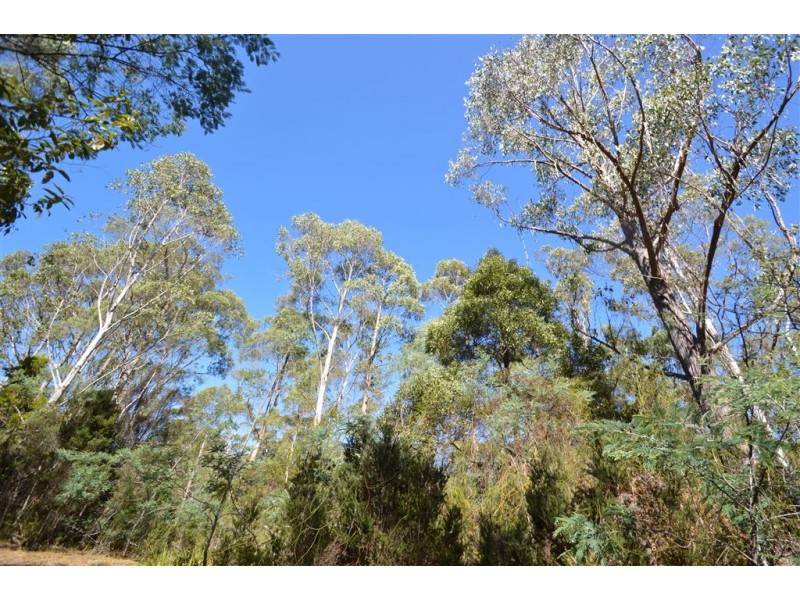 lot 1 North Street, Elizabeth Town TAS 7304