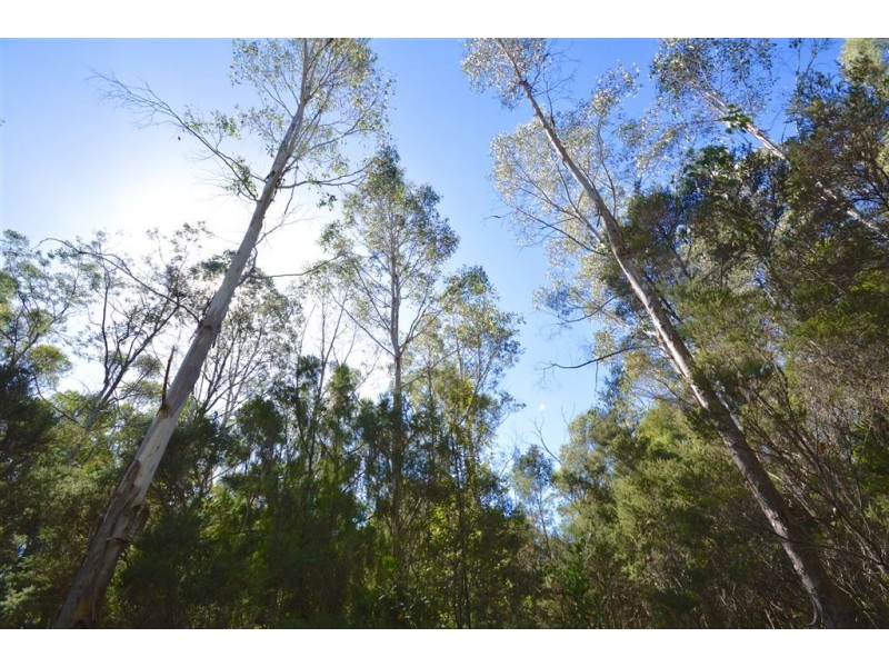 lot 1 North Street, Elizabeth Town TAS 7304