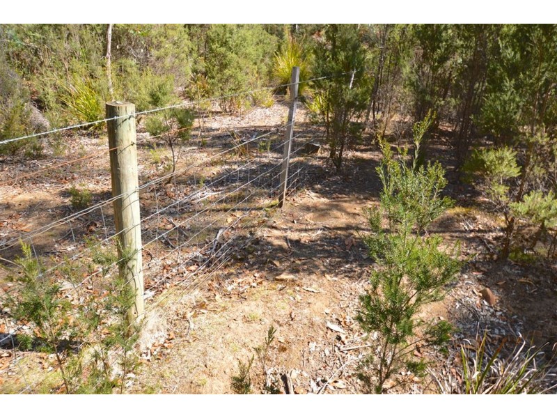 lot 1 North Street, Elizabeth Town TAS 7304