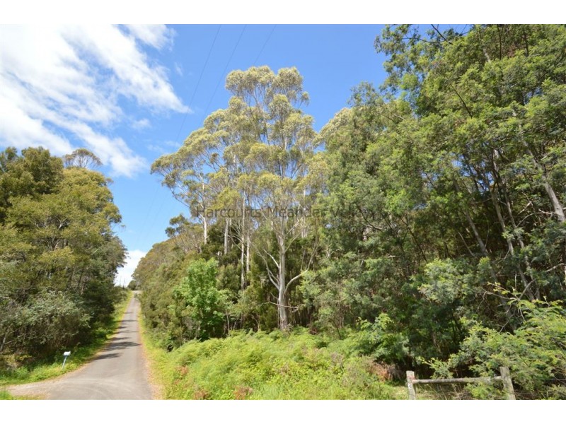 4 North Street, Deloraine TAS 7304