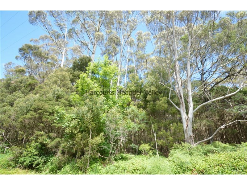 4 North Street, Deloraine TAS 7304