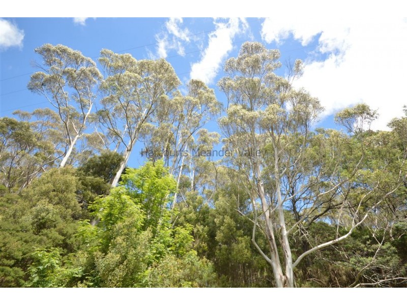 4 North Street, Deloraine TAS 7304